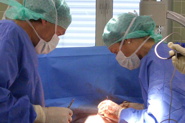 Dr. Gruhl und Dr. Eberlein im Op 2005